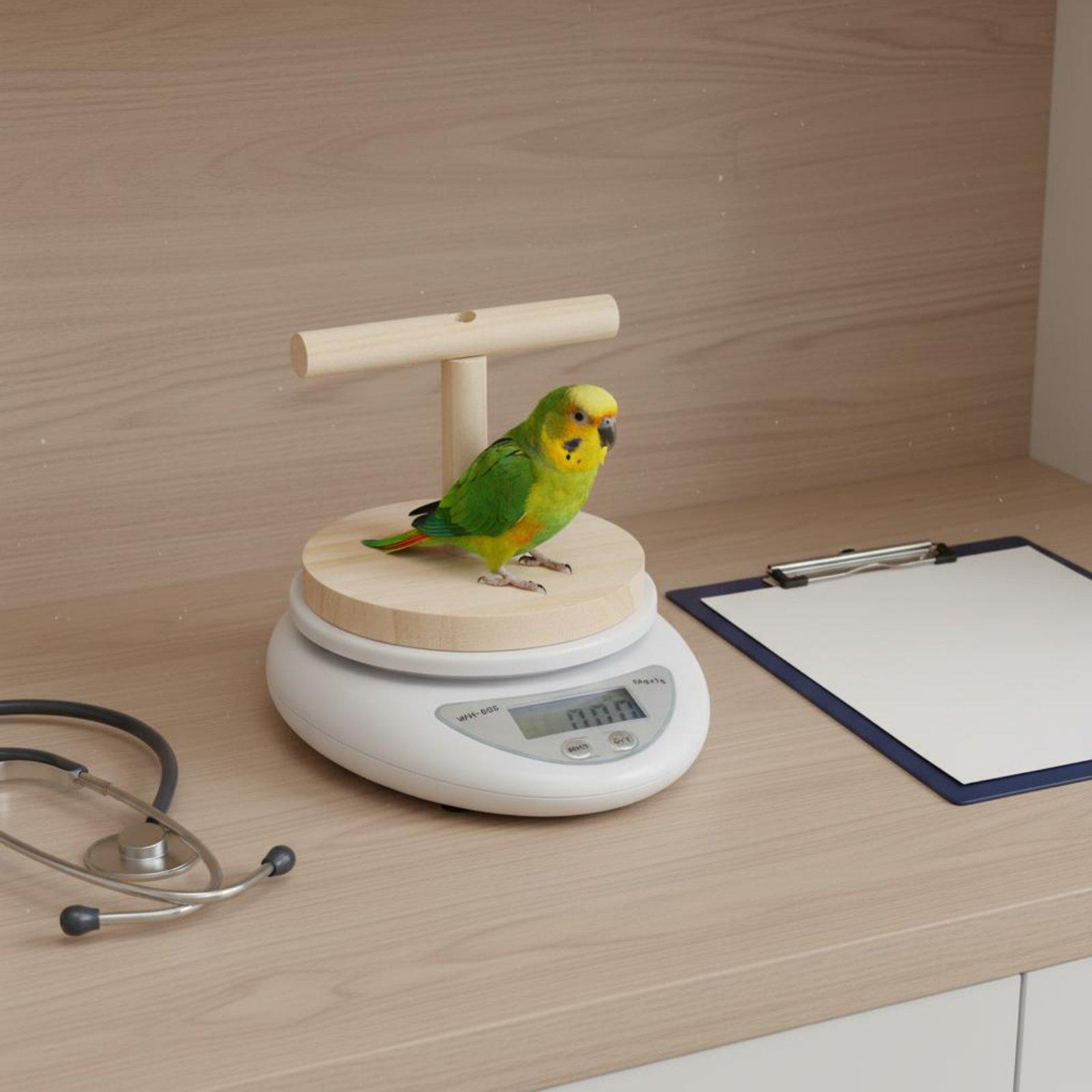 Digitale vogelschaal met afnee - Portion Scale Digital recensie en prijs